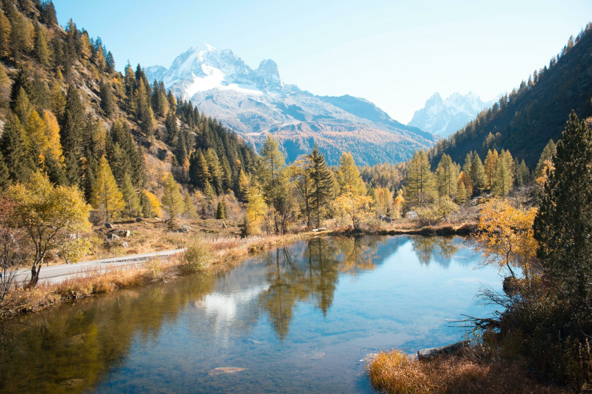 pexels danielnouri 8253151